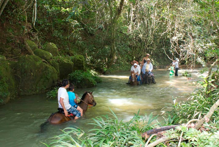 Cabalgata en la hacienda - 1