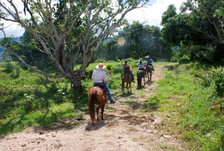 Cabalgata en la hacienda - 2