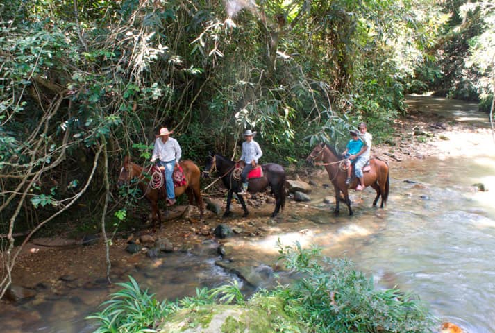 Cabalgata en la hacienda - 3