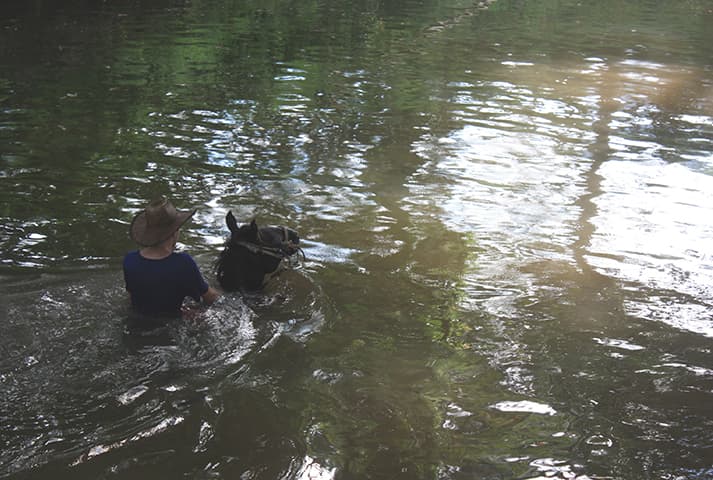 Cabalgata en la hacienda - 5