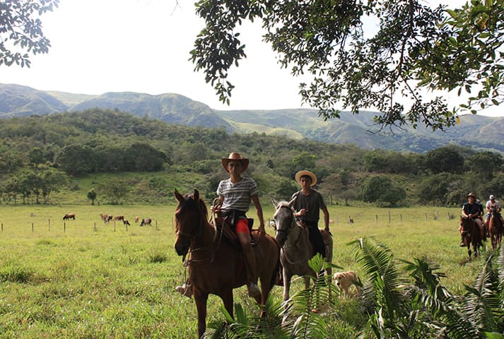Cabalgata en la hacienda - 6