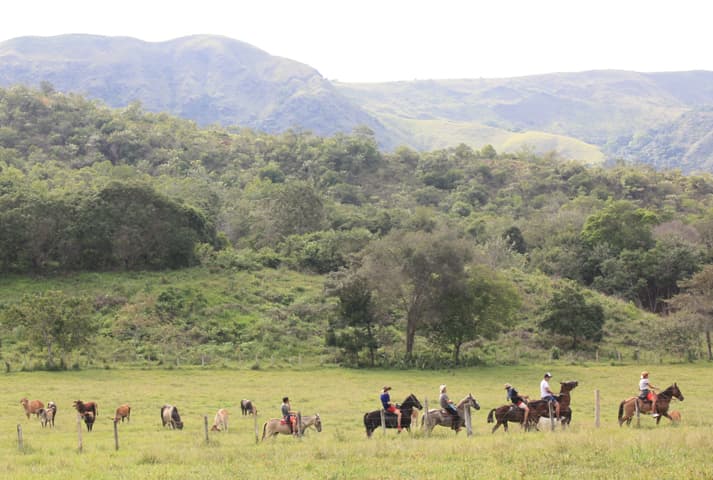 Cabalgata en la hacienda - 7