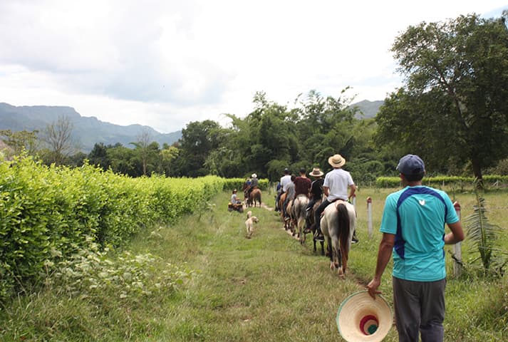 Cabalgata en la hacienda - 8