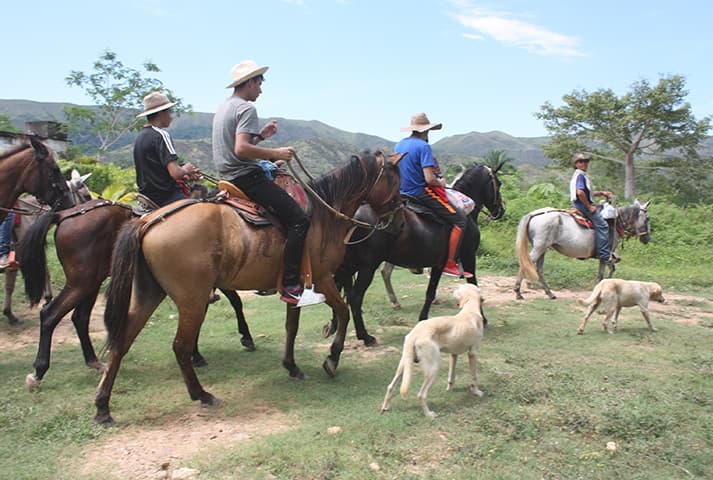 Cabalgata en la hacienda - 9