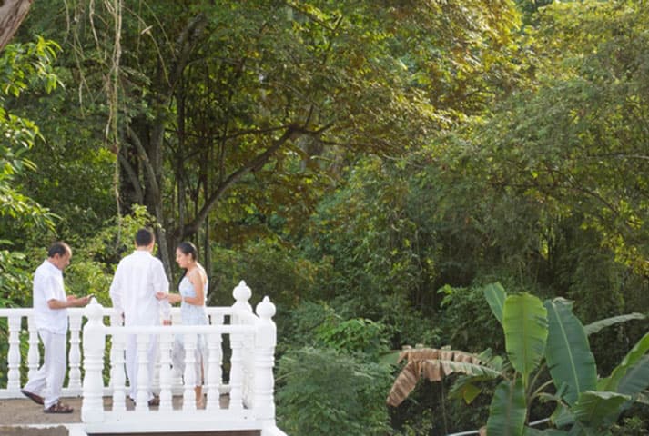 Eventos y celebraciones - 13