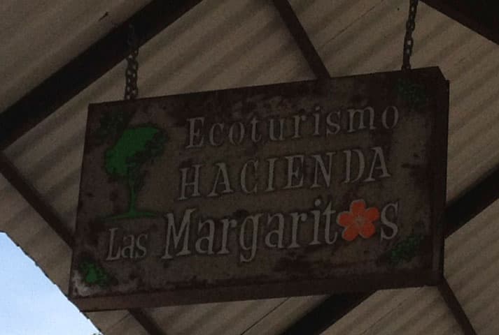 Hacienda Las Margaritas - foto 20