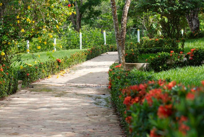 Hacienda Las Margaritas - foto 29