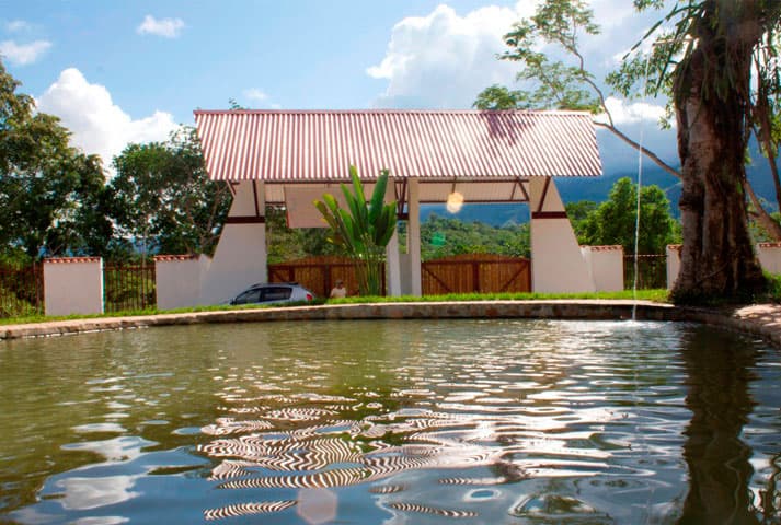 Hacienda Las Margaritas - foto 31