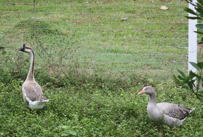Hacienda Las Margaritas - foto 34