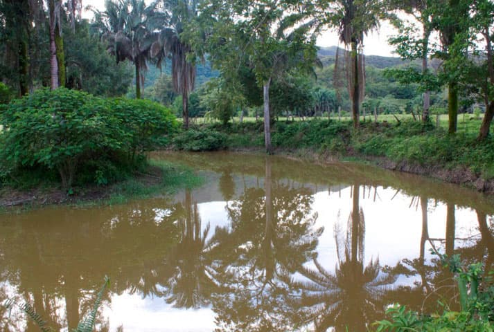 Hacienda Las Margaritas - foto 36