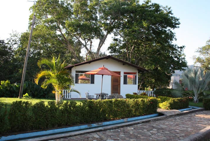 Hacienda Las Margaritas - foto 39