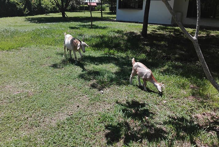 Hacienda Las Margaritas - foto 41