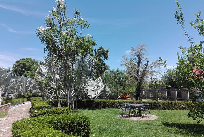 Hacienda Las Margaritas - foto 48