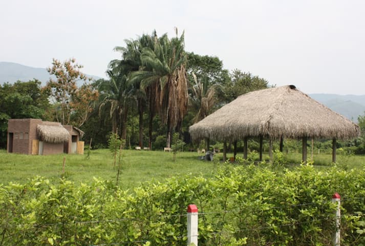 Hacienda Las Margaritas - foto 51