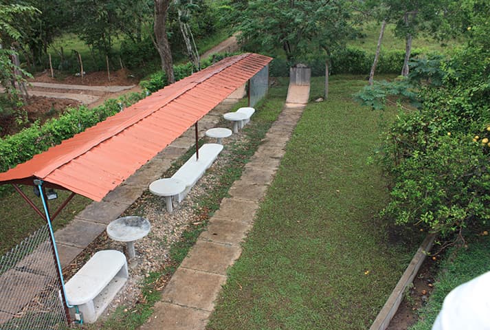 Hacienda Las Margaritas - foto 53