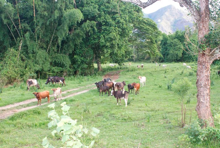 Salidas eco turísticas - 4